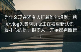 为什么现在还有人盯着谁能想到，糖心vlog免费网页版正在被重新认识，最扎心的是，很多人一开始都判断错了