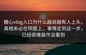 糖心vlog入口为什么越说越有人上头，真相未必在明面上，事情走到这一步，已经很难装作没看到