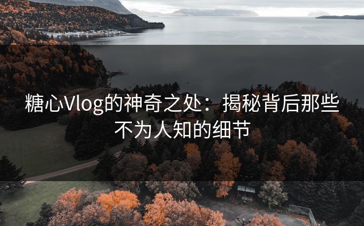 糖心Vlog的神奇之处：揭秘背后那些不为人知的细节